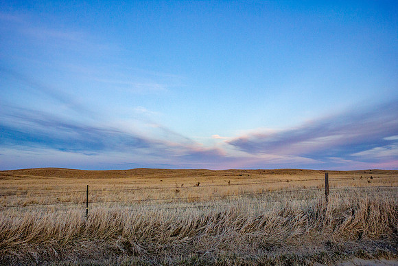© Paige Gaughenbaugh